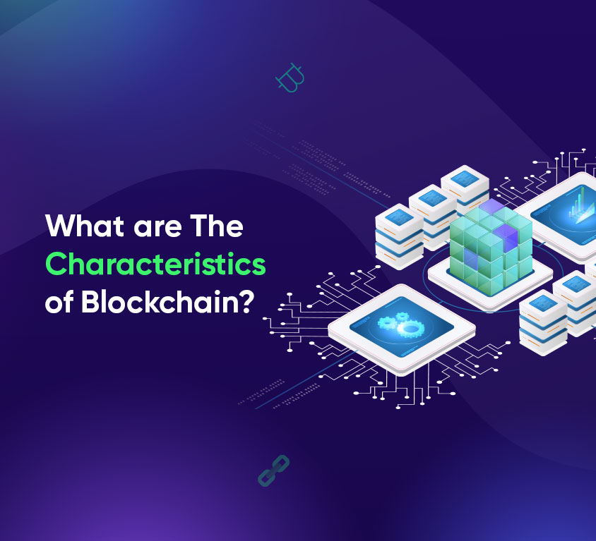 What Are the Characteristics of Blockchain?