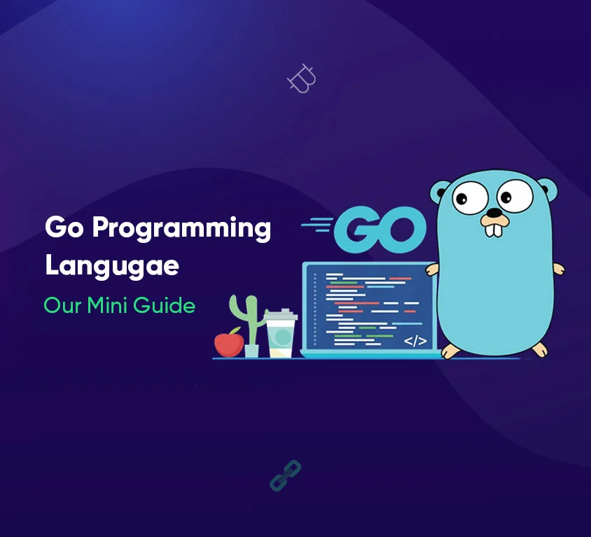 Go Programming Language BloxBytes Mini Guide