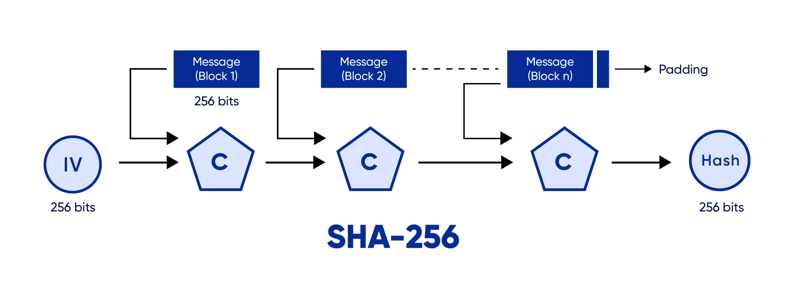 SHA 256 Hash Algorithm Safeguard Digital Transactions SHA 256 Hash Algorithm Safeguard Digital Transactions