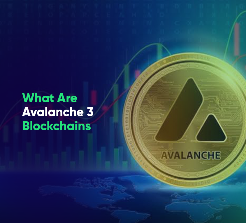 What Are Avalanche 3 Blockchains